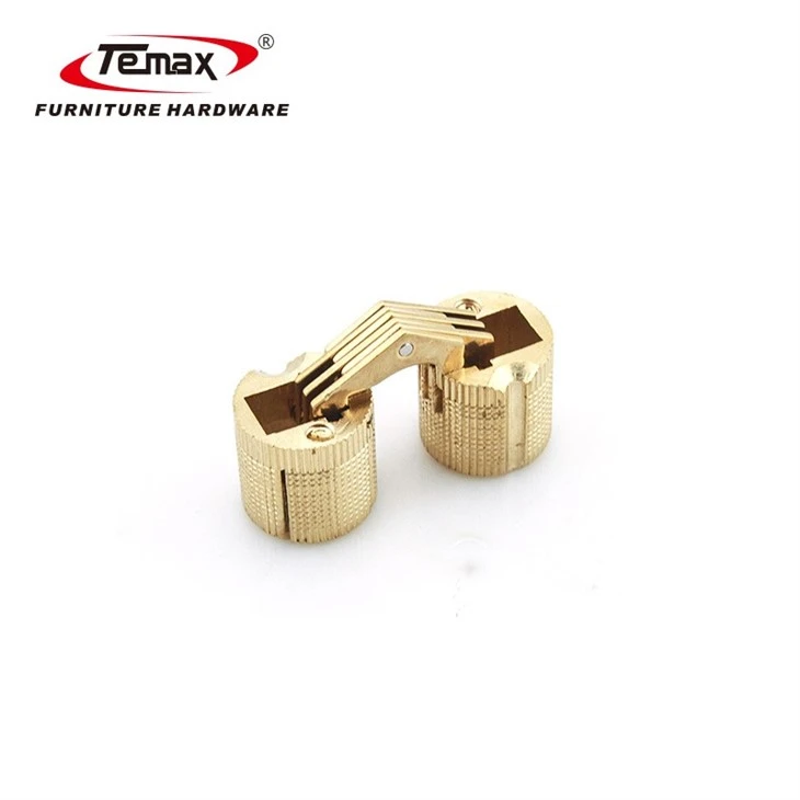 TEMAX Invisible Brass Barrel Hinge